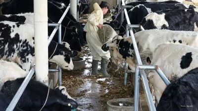 Rising Popularity of 6% Fat Milk Launches in Ontario