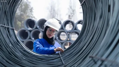 EMSTEEL's Q1 Profits Surge 246% Boosted by Operational…