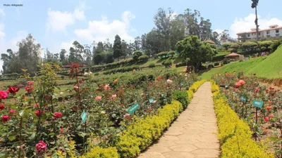 Ooty’s Government Rose Garden Welcomes Visitors