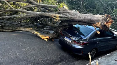 Severe Winds Lead to Extensive Power Interruptions Acr…