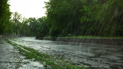 Sri Lanka Weather Crisis: Two Lives Lost Amidst Heavy …