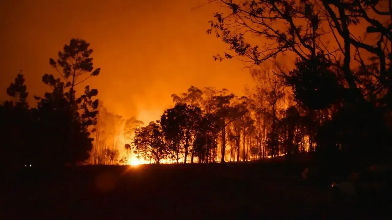 Significant Reduction in Indonesia's Forest Fires