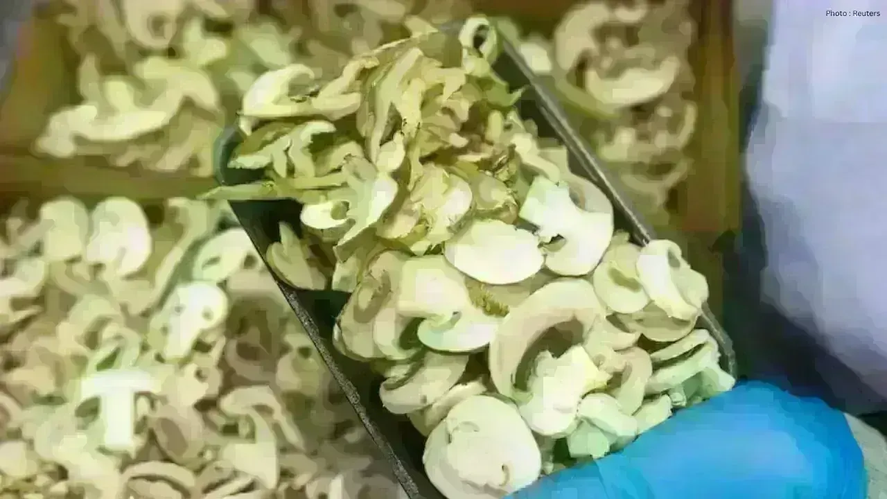 New Countervailing Duties on Canadian Mushroom Imports by U.S.