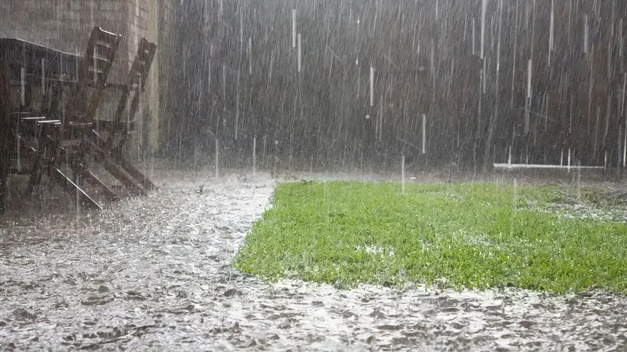 Delhi's Downpour Offers a Welcome Break from the Heatwave