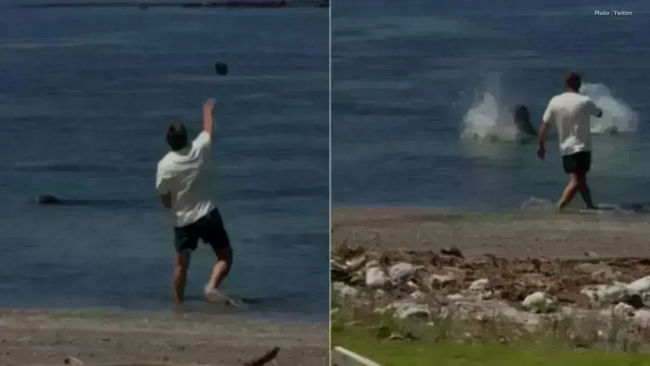 Hawaii Imposes Beach Ban on Man Accused of Endangered Seal Attack