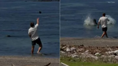 Hawaii Imposes Beach Ban on Man Accused of Endangered Seal Attack