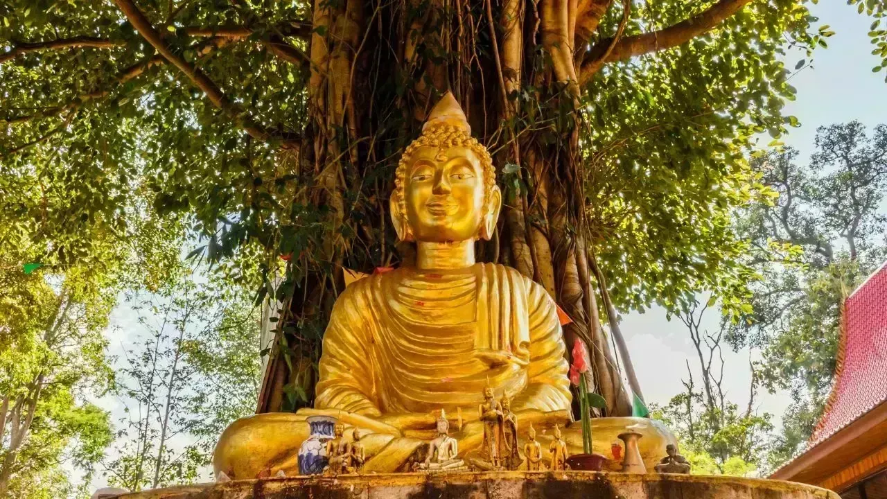 Thailand Calls for Public Participation in Bodhi Tree Commemoration