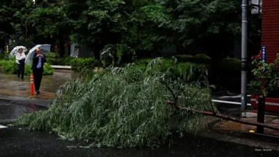 Localized Flooding Strikes Canmore Amid Heavy Rain and Melting Snow